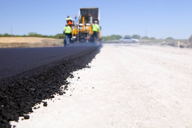 Best Local Driveway Pavers  in Laguna Heights, TX
